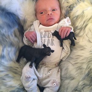 Meet your Posher, Bailey